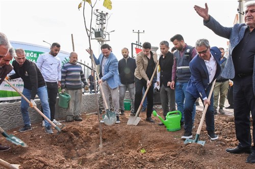 Nusaybin'de 11 Kasım Mili Ağaçlındırma Günü Nedeniyle Fidan Dikildi